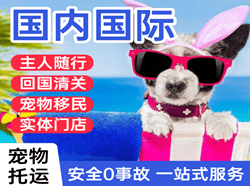 杭州航空快递国际宠物托运 【国